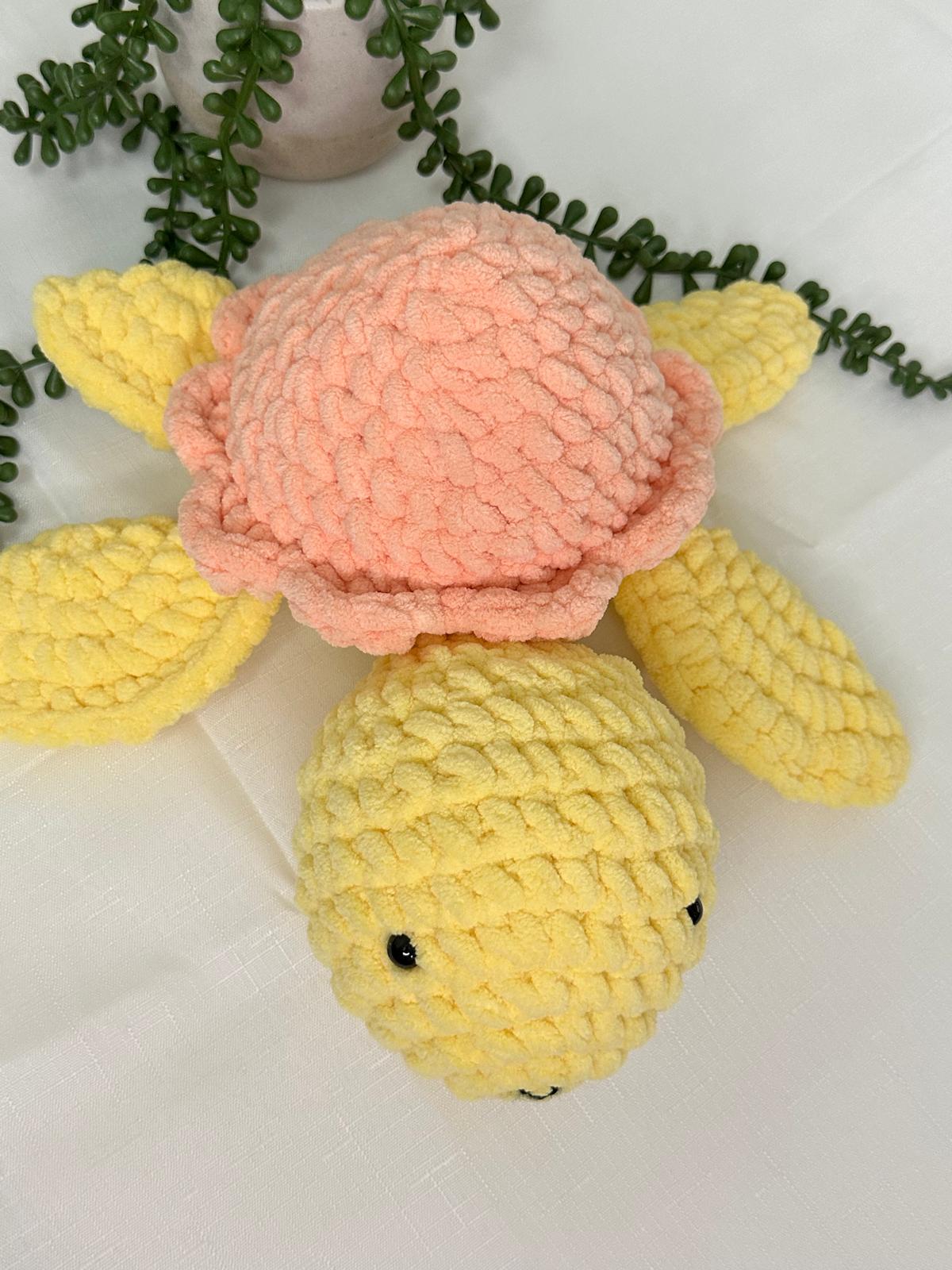 Daisy Turtle